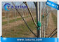 De UVstok van de Glasvezelrod for plant tree support Polen van Inhibitorpultruded